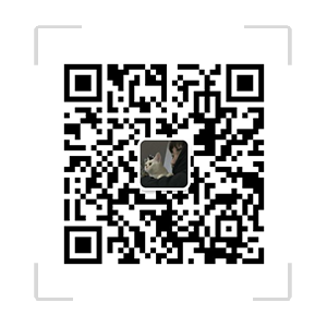 武汉叮叮微行科技有限责任公司